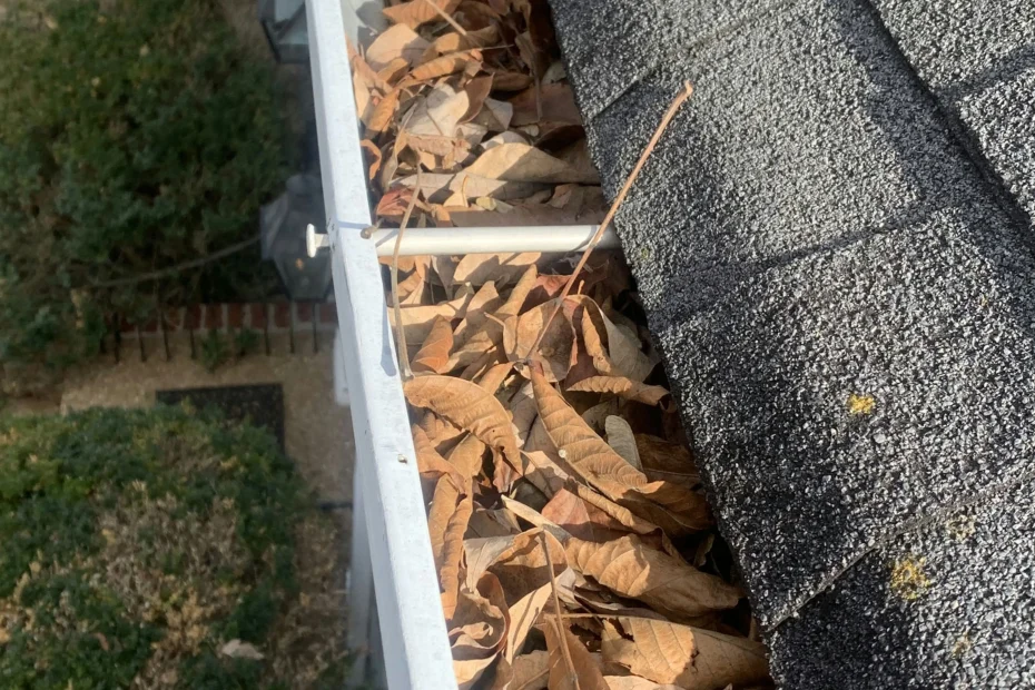 Gutter Cleaning Brunswick