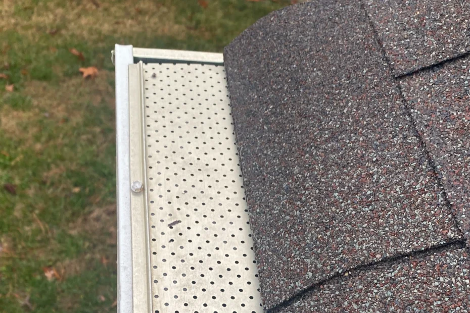 Gutter Cleaning Brunswick