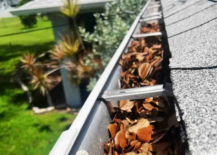 Gutter Cleaning Brunswick home page